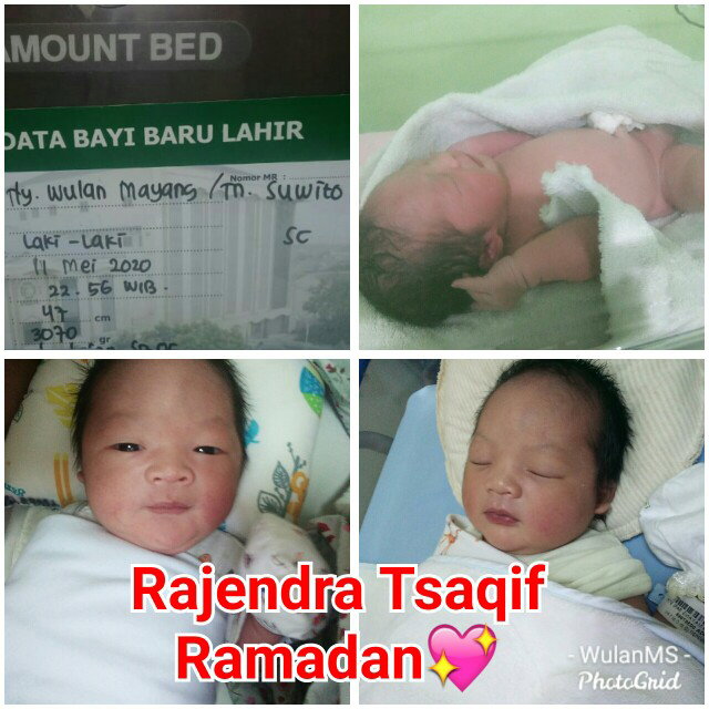 Wulan Mayang Sari profile icon