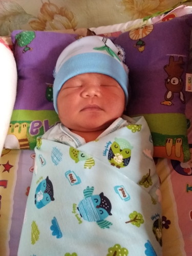 Alhmdllh telah hadir jagoan