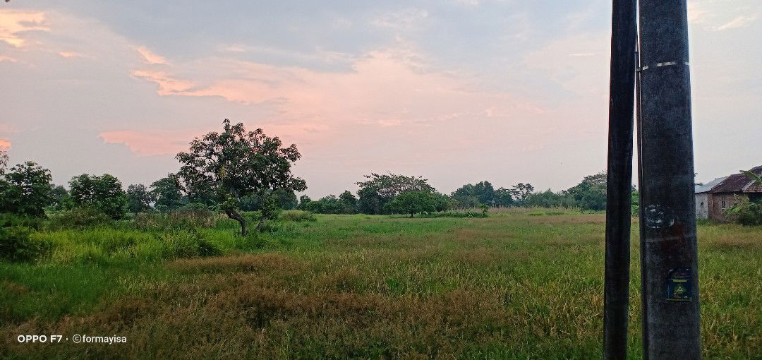 isa kurnia profile icon