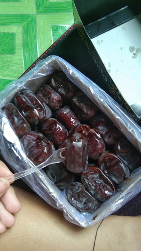 Kurma