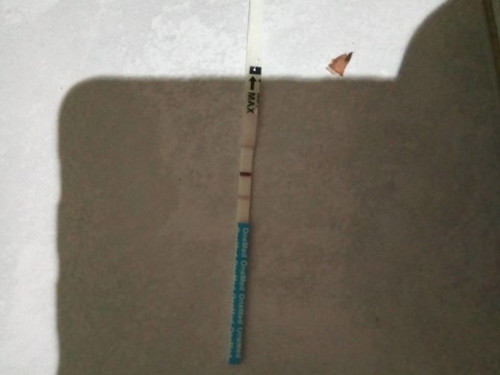 apa arti hasil testpack ini ?