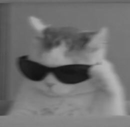 ceyn s.yudhistira profile icon