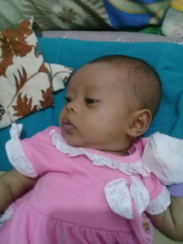 bun tolong dong info nya