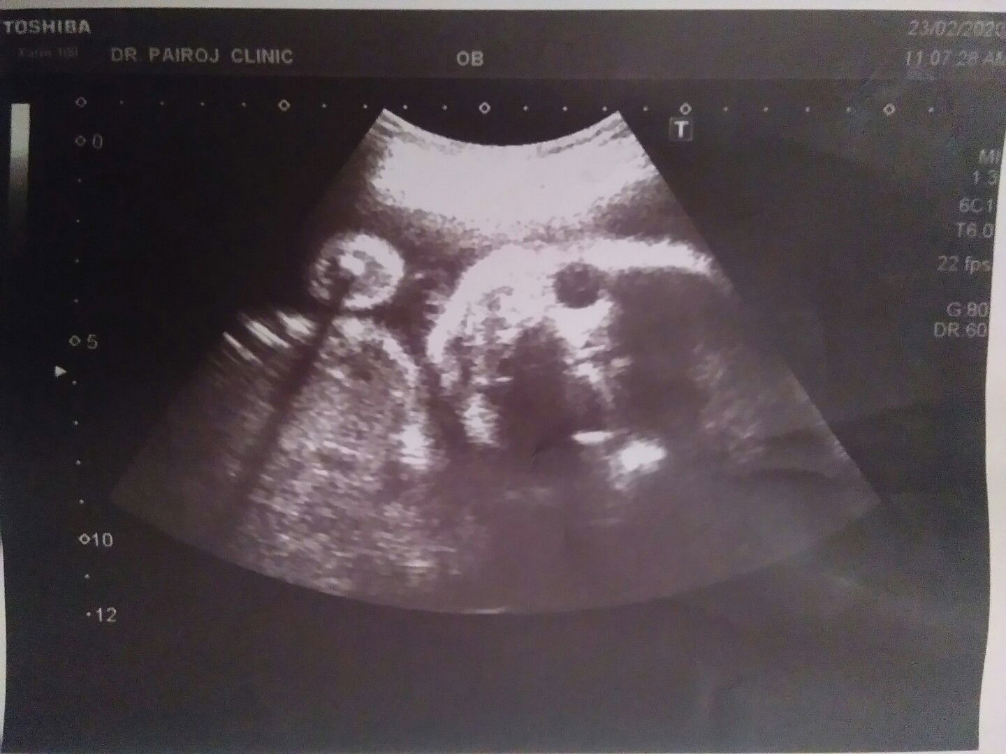 paewwww profile icon