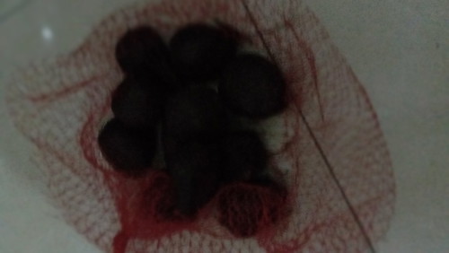 salak