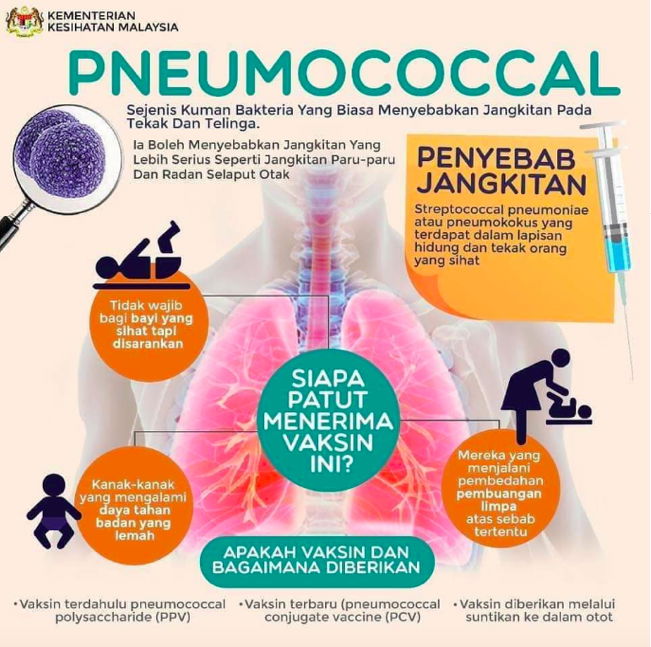 Suntikan Vaksin Pneumococal