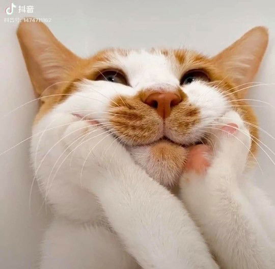 Putri Mimie profile icon