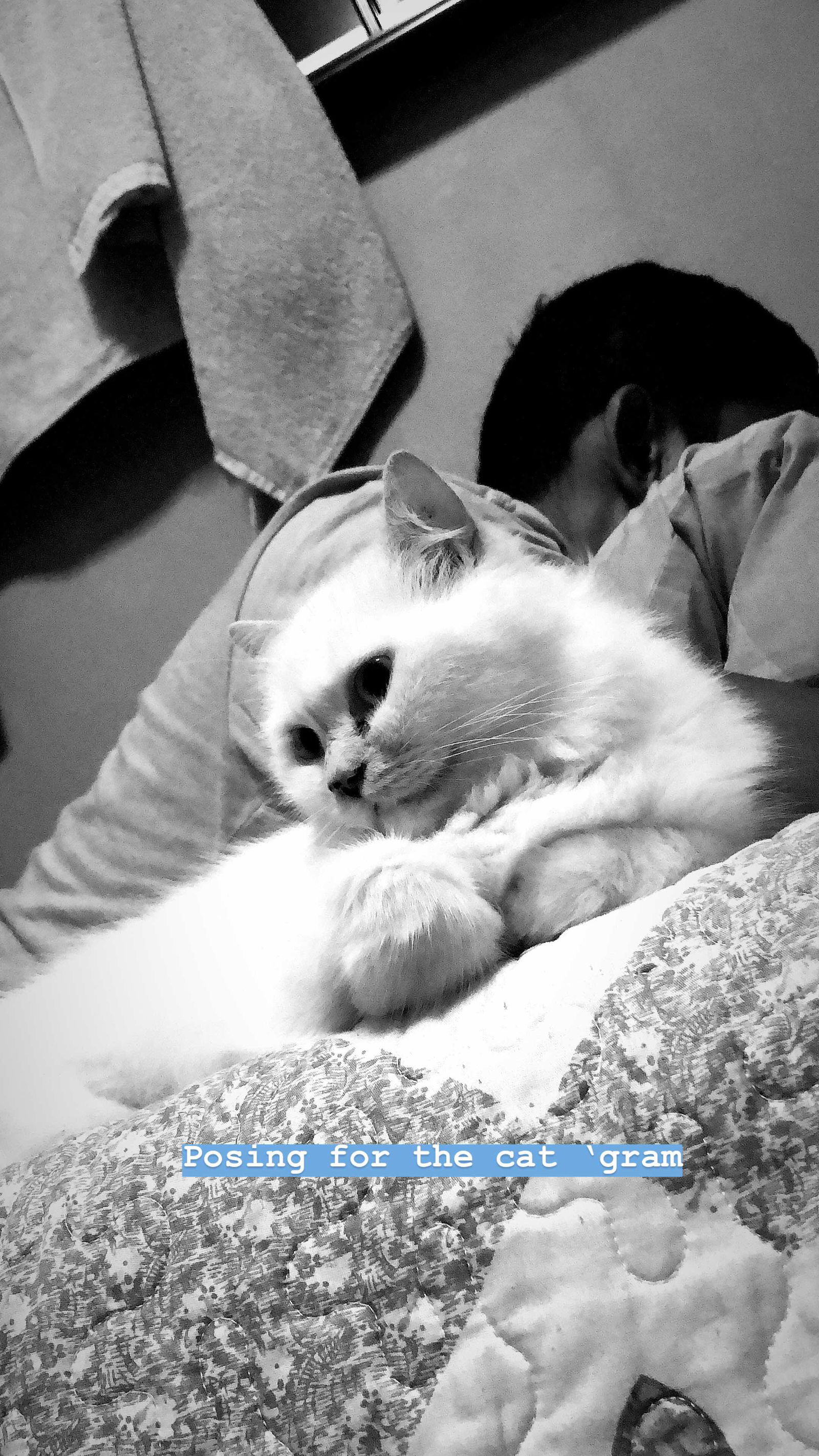 Iara Nix profile icon