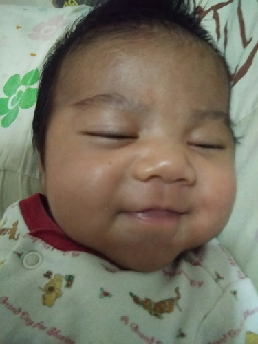 น้องเนสลูกหมูน้อยของแม่