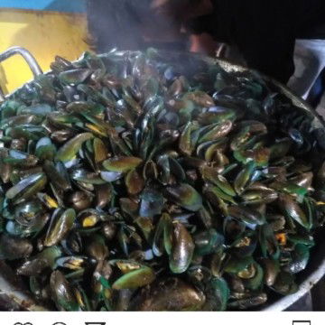 kerang ijo