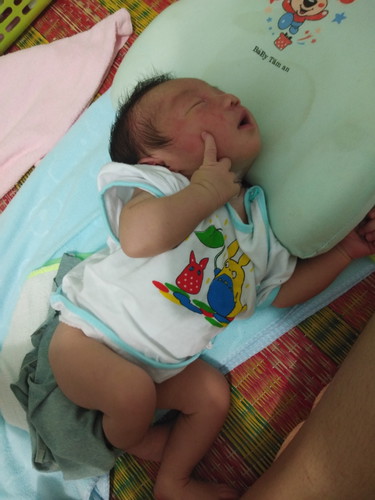 chuột con
