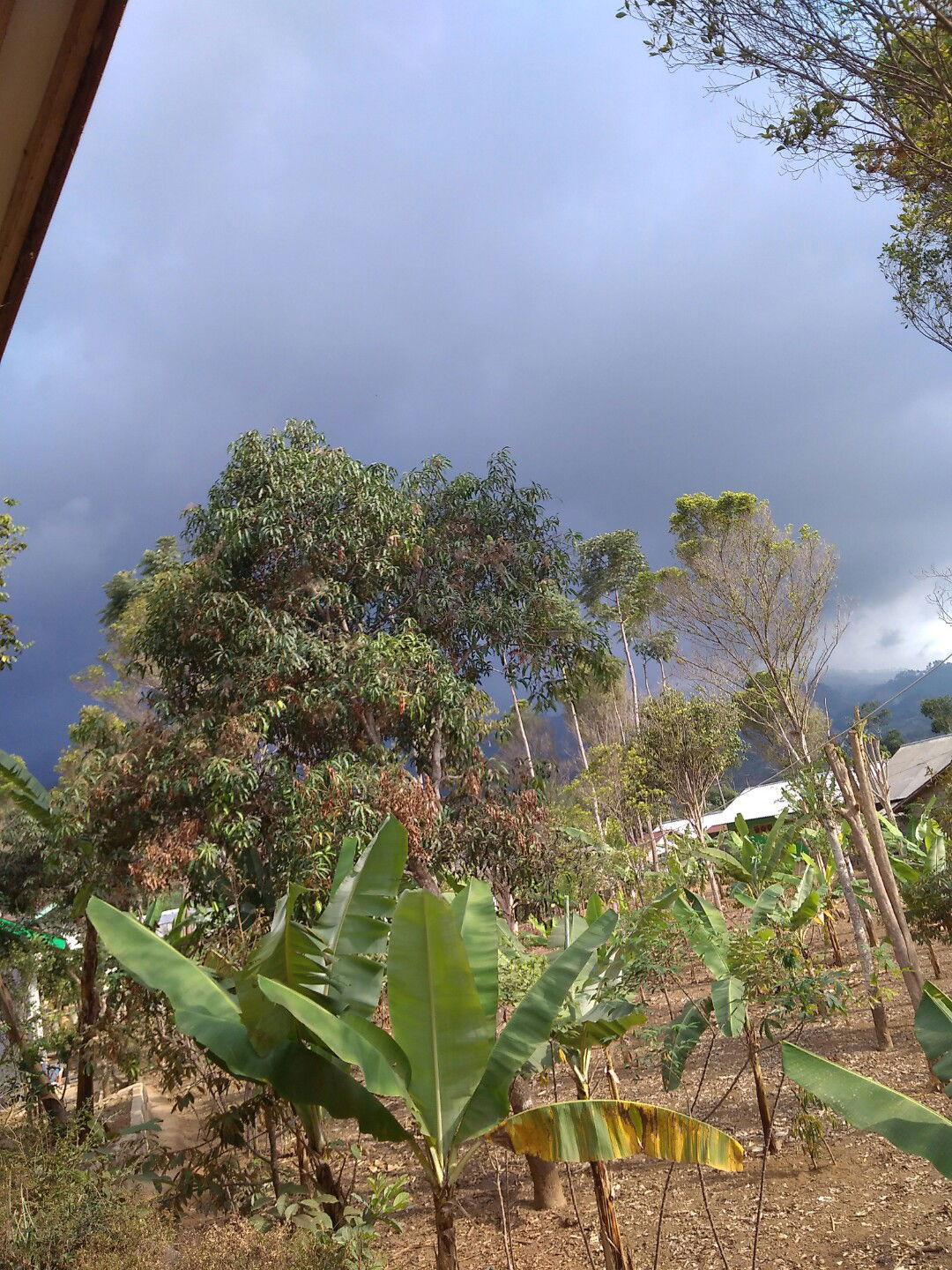 sokhati profile icon