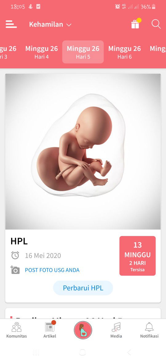 26 w 5 d ?