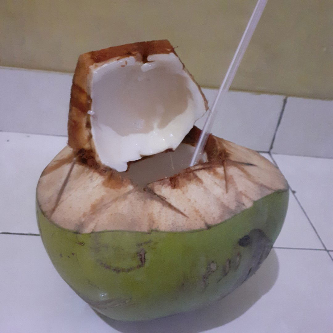 Kelapa Muda