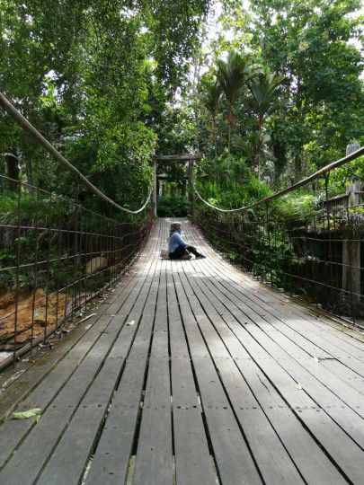 amira roselan profile icon