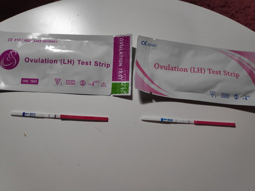 ovulation test