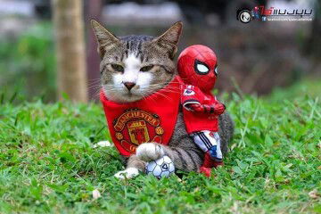 Eva Nia Lestarie profile icon