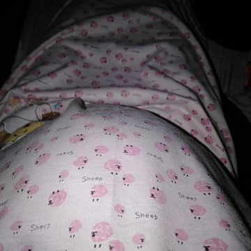 28 week