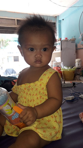 ไม่ยอมคว่ำ ไม่ยอมคลาน