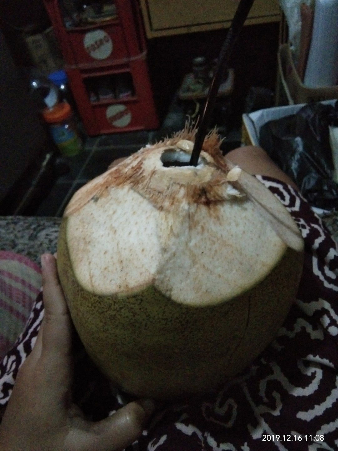 kelapa muda