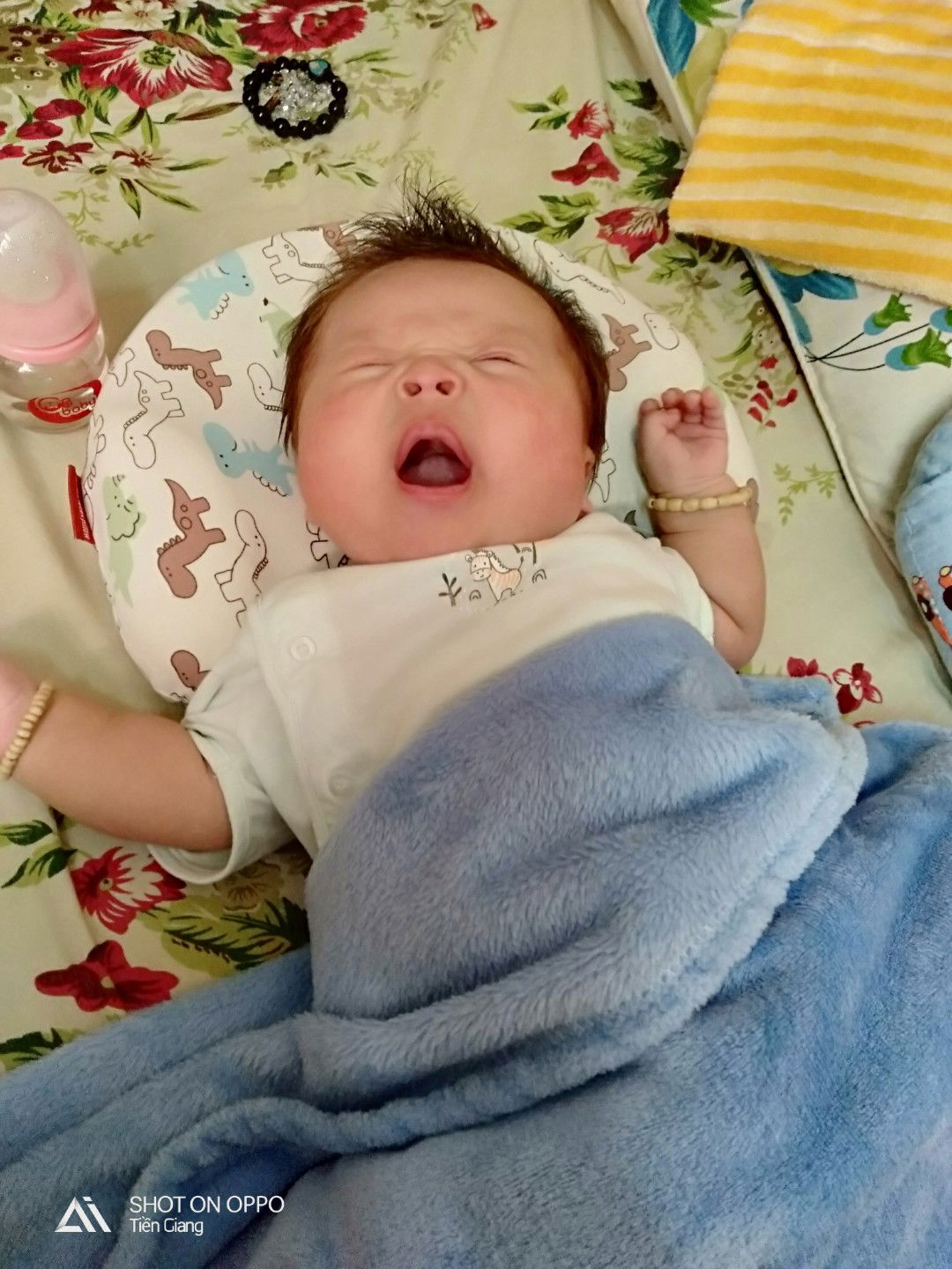 Thao Nguyen profile icon