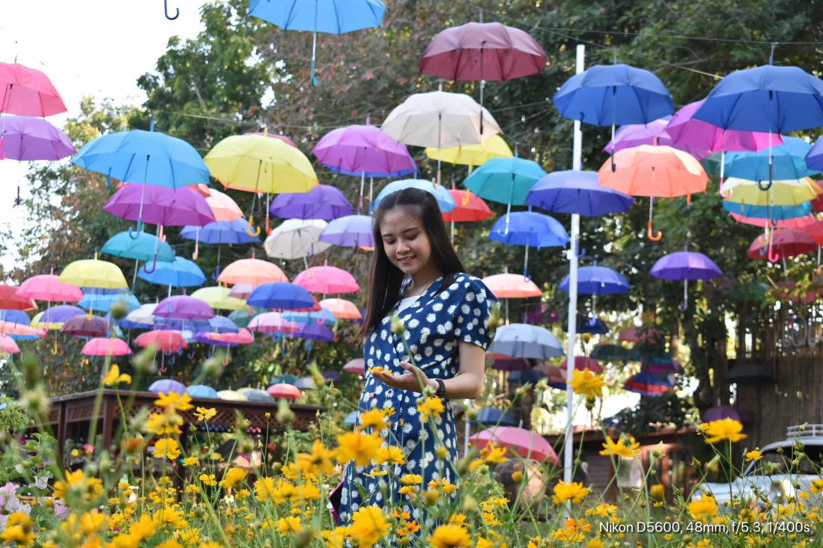 ฐิติพร profile icon