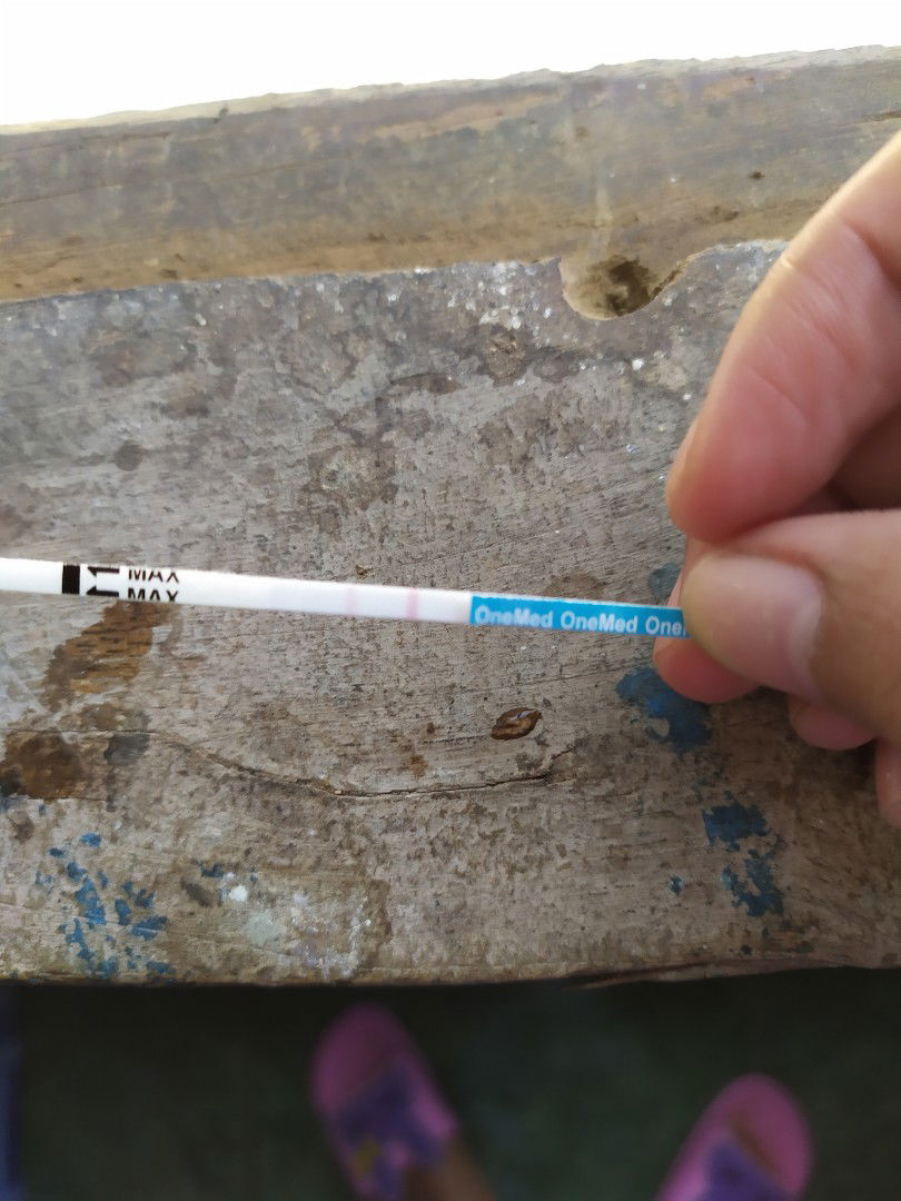 trlambat 1 hari dan + ?