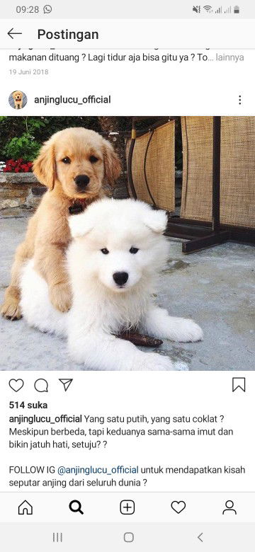 Fanny Putri profile icon