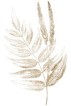 Nadiyah Sholihah profile icon