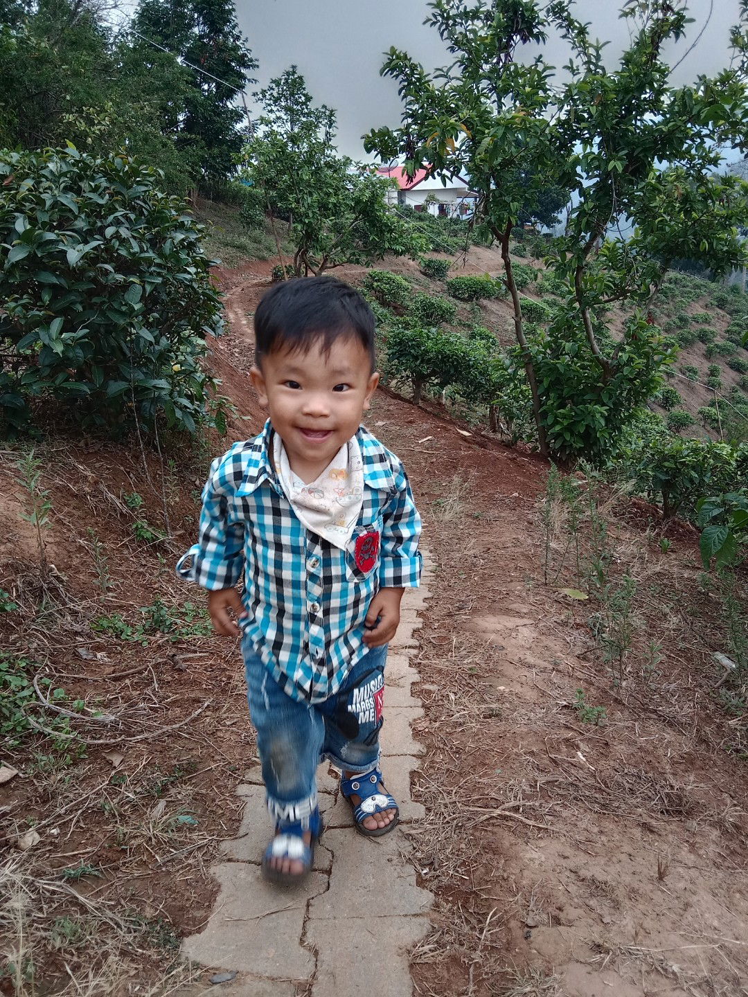 Pattarawan Lee profile icon