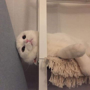 M•__•eww profile icon