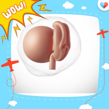 อยากรู้นะว่า