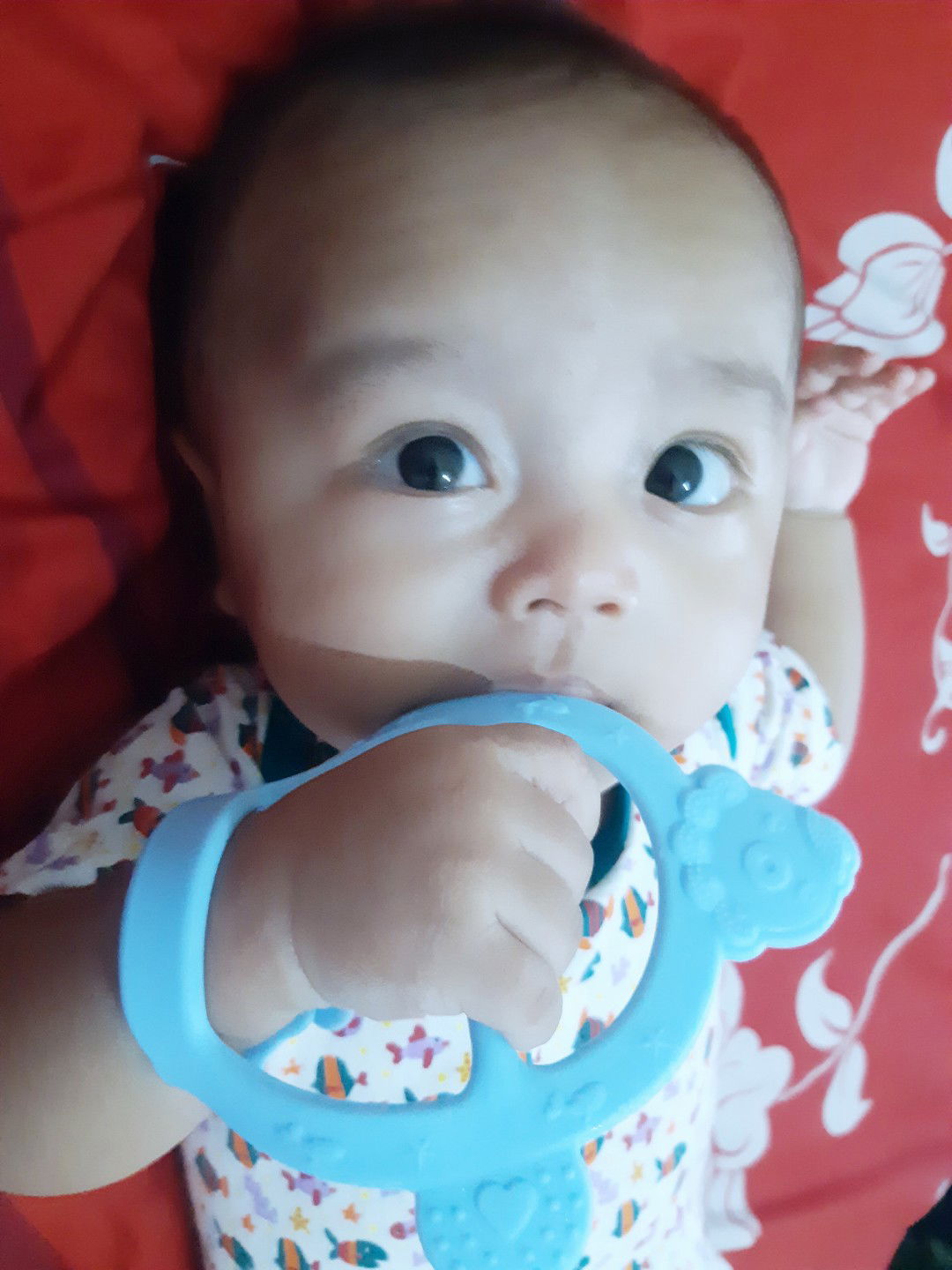 Ami Sofy profile icon