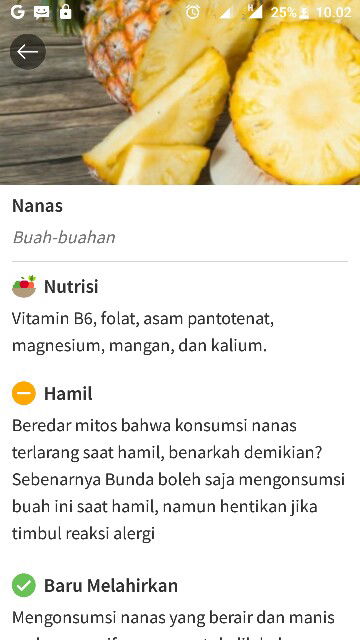 Bahaya gak ya makan nanas?