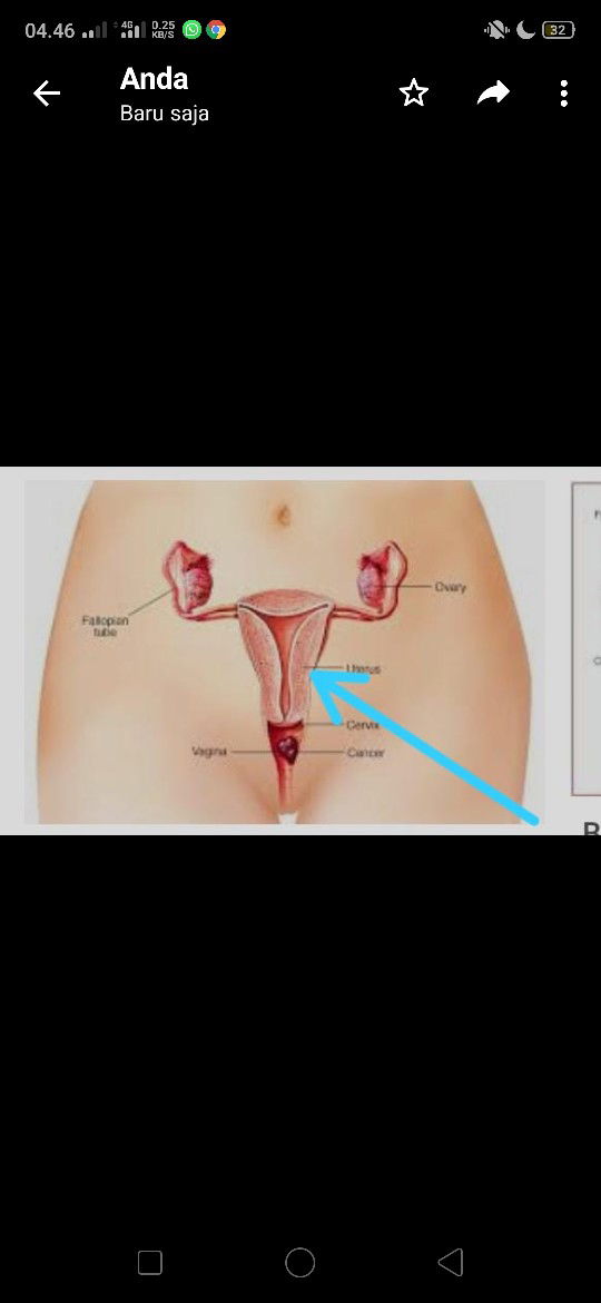 usia kandungan 36weeks