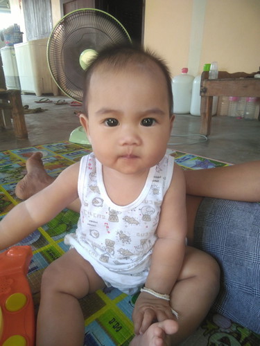 เลือกนมผง