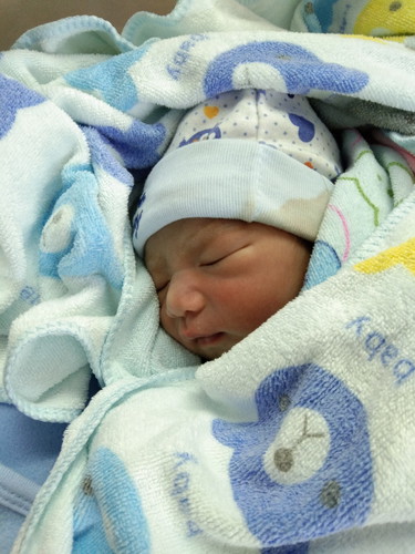 มาแล้ว น้องปกป้อง