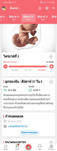 ตั้งครรภ์