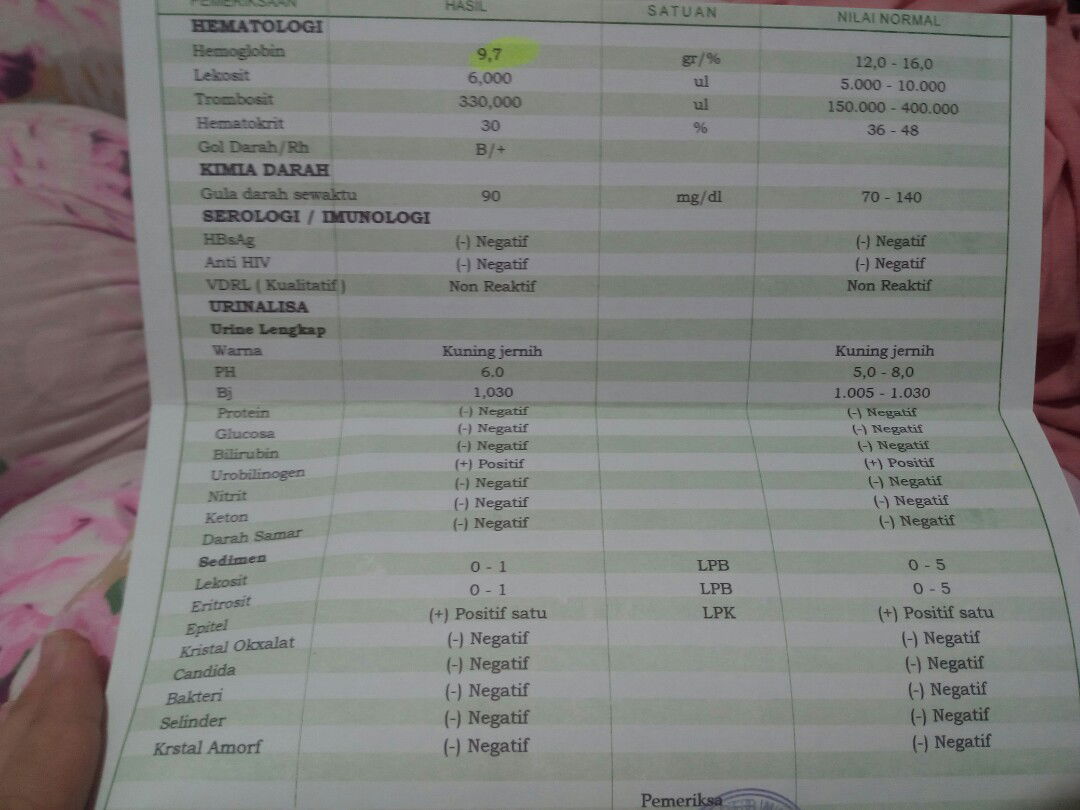 wajib/tidak vitamin penambah darah (HB) saat hamil