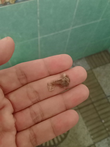 ขอถามค่ะ แบบนี้คืออะไรค่ะ