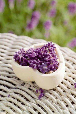 lyn ai lyn profile icon