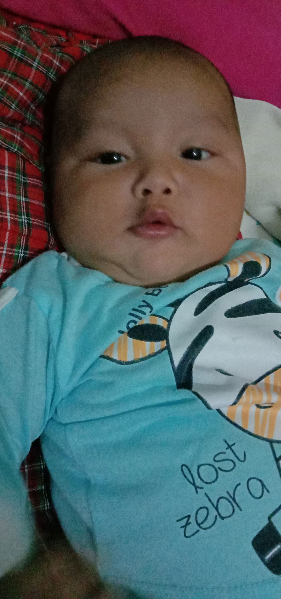 rambut dan alis bayi