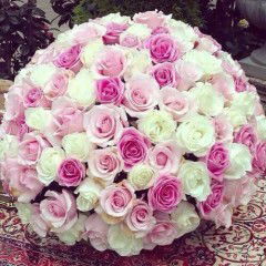 Ika Ulina profile icon