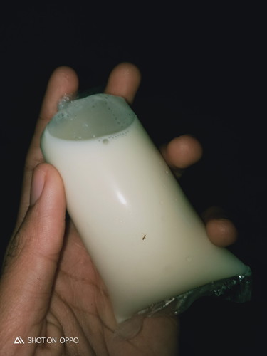 susu kedelai