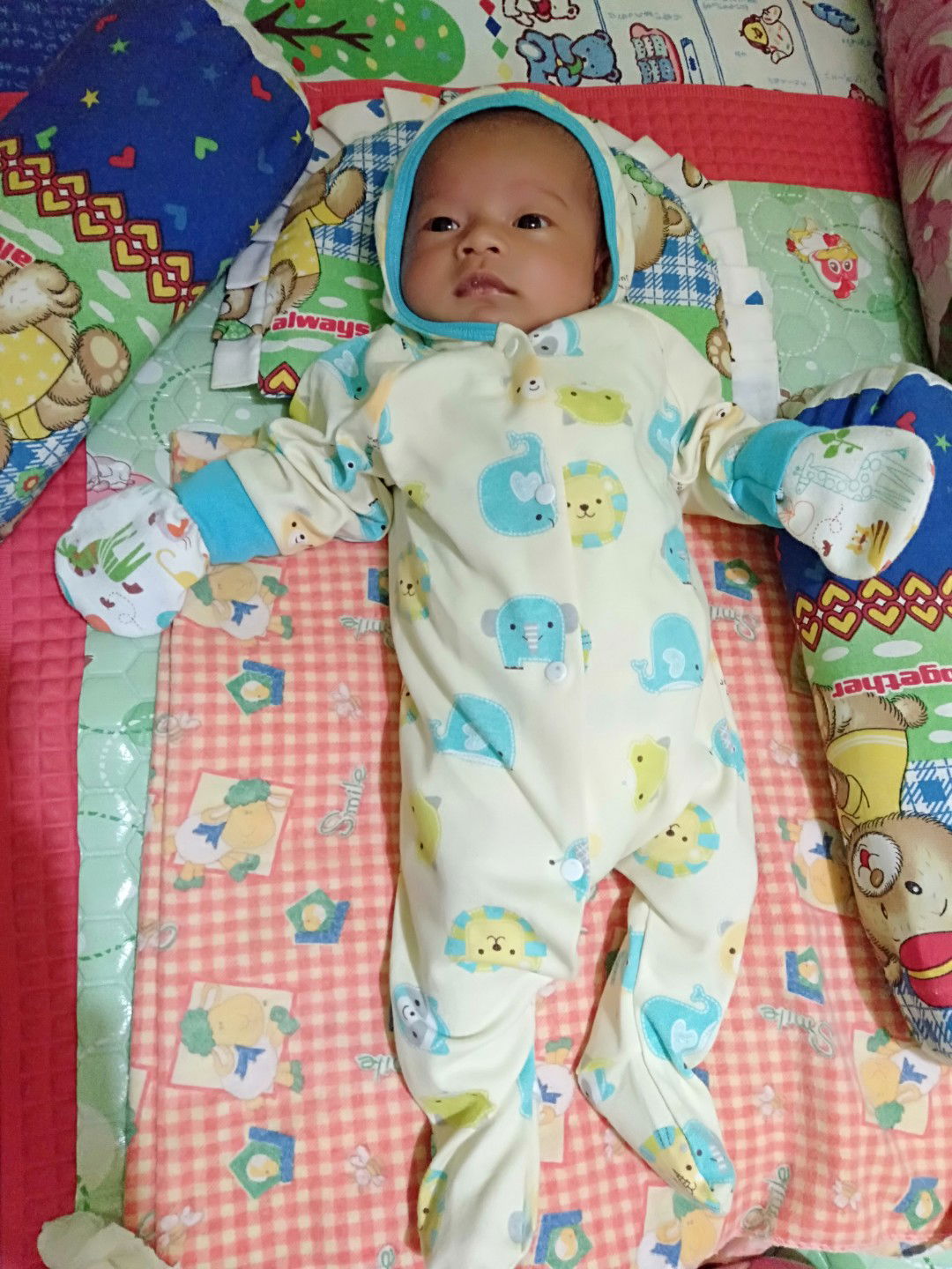 Siti Fatimah Asari profile icon