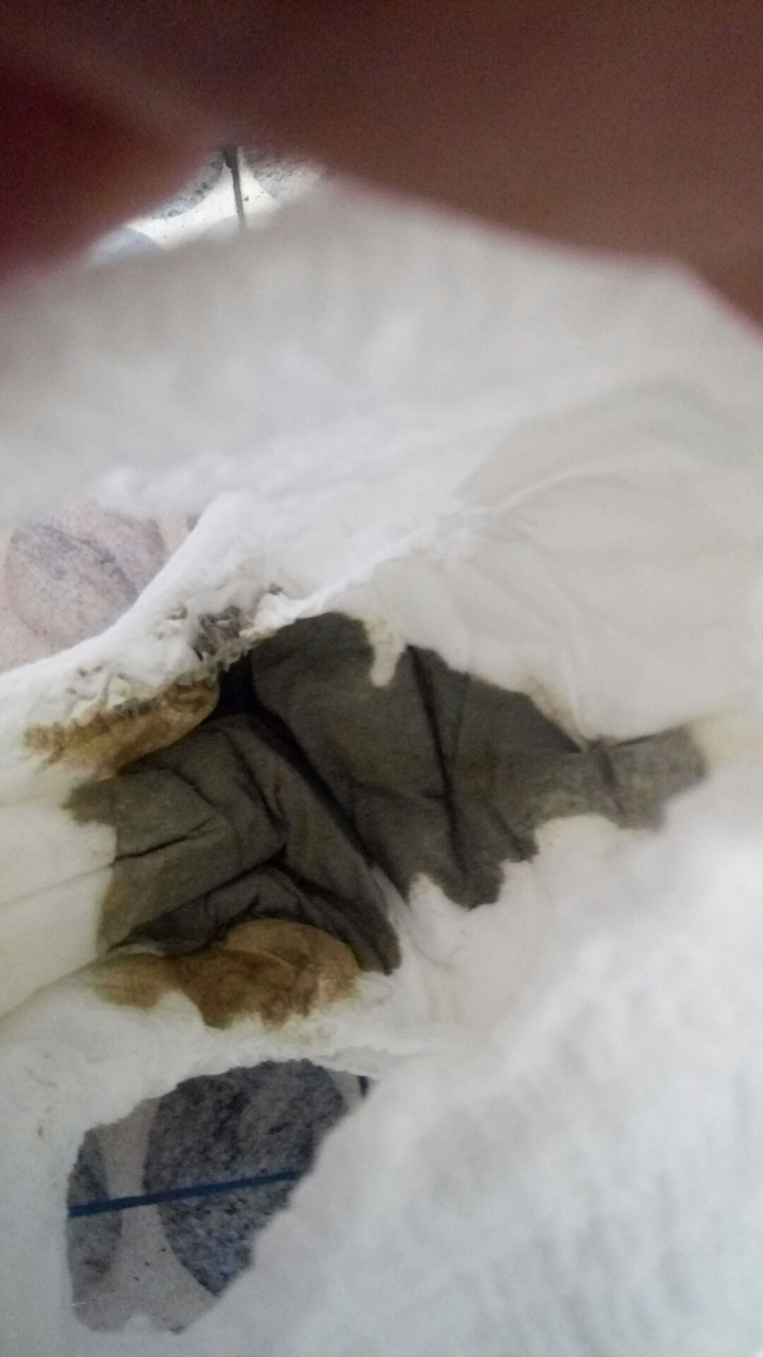 bab bayi 5bulan hijau