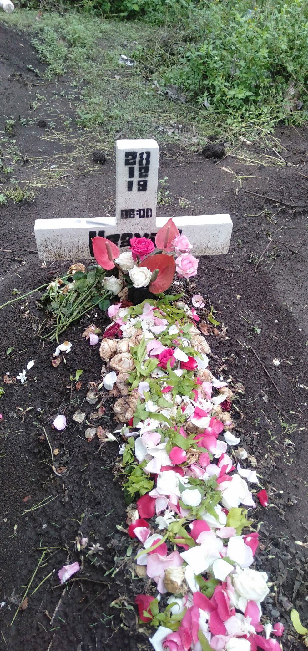 Damai di surga ya My Son