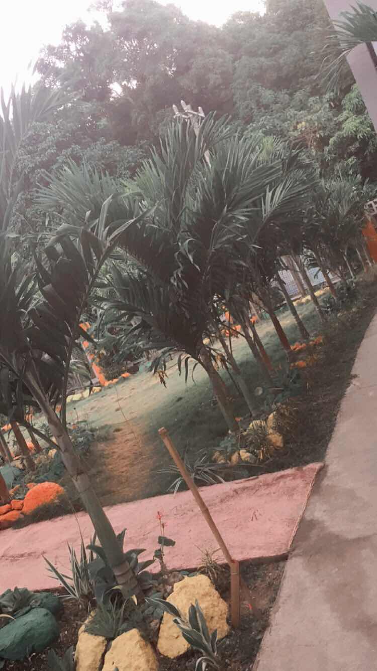 Mhenggg profile icon