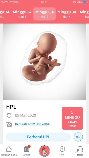 bolehkah bumil makan kebab