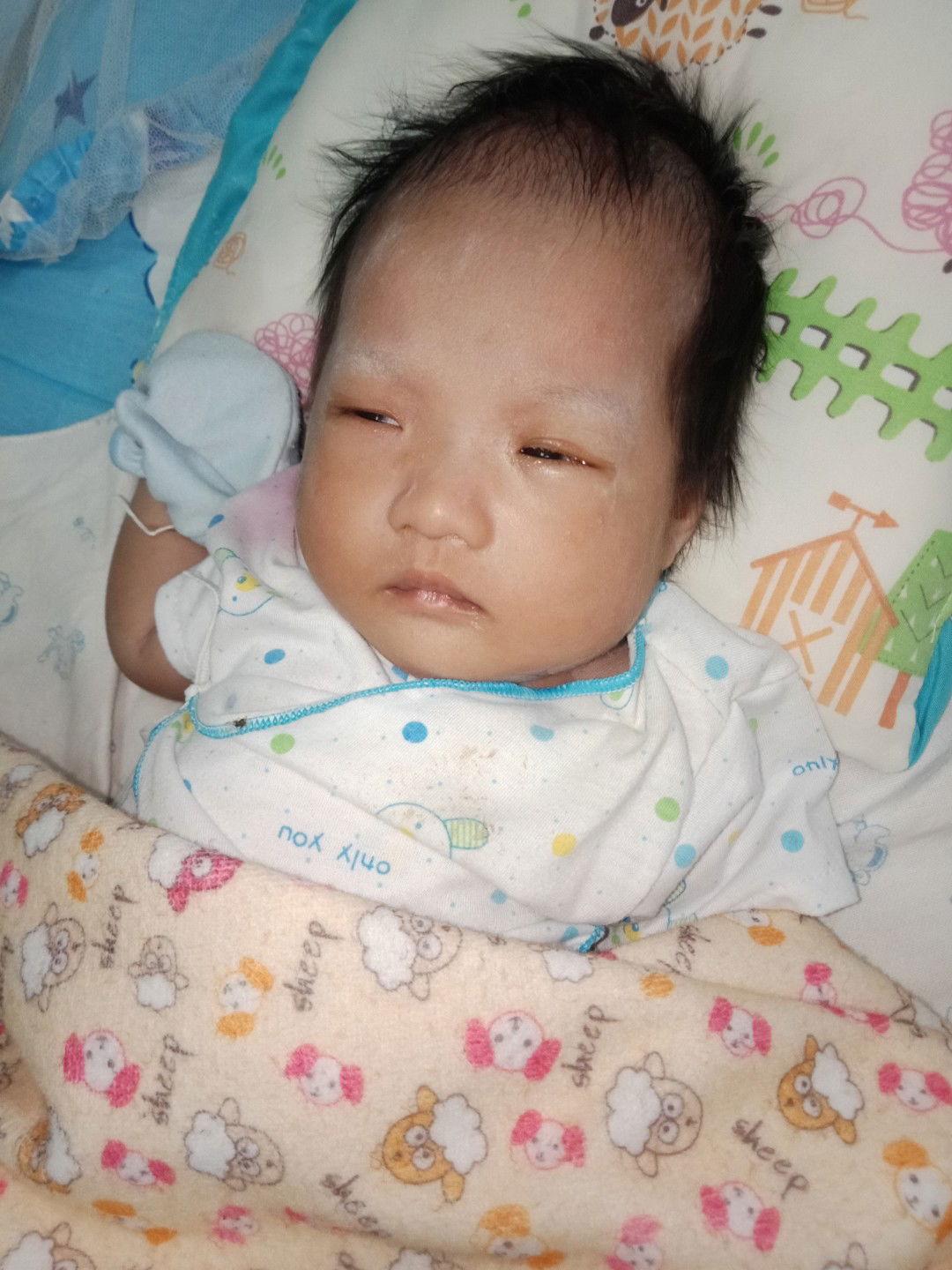 น้องอังเปา